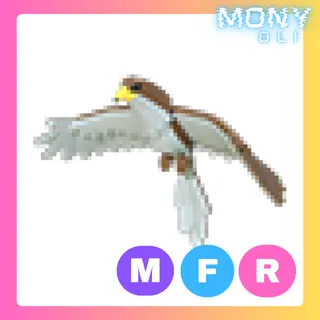 MFR HAWK