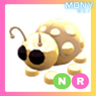 NR GOLDEN LADYBUG
