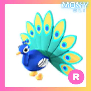 R PEACOCK