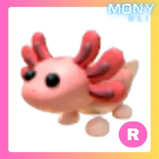 R AXOLOTL