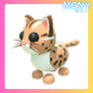 LEOPARD CAT