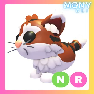 NR MUNCHKIN CAT