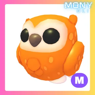 MEGA NEON CLEMENTINE OWL