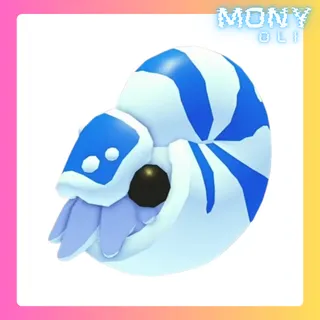 NAUTILUS