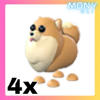 4X POMERANIAN 