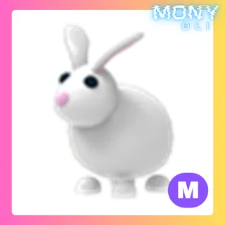 MEGA NEON RABBIT 