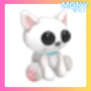 CAT PLUSH