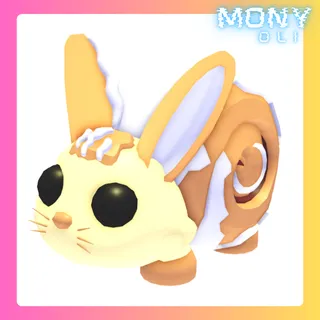 BUNNY SWIRL