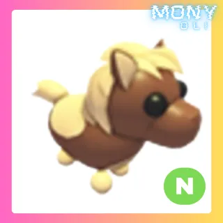 NEON Shetland Pony Dark Brown