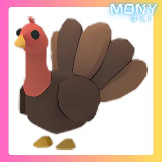 TURKEY