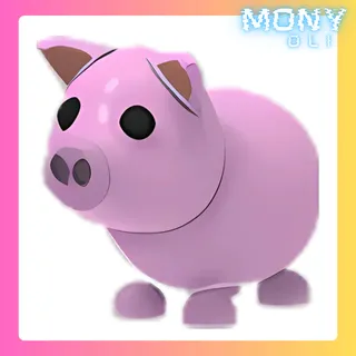PIG