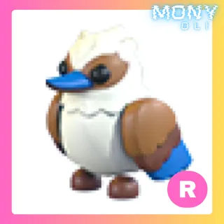 R KOOKABURRA