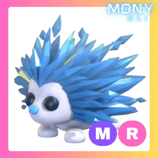 MR ICY PORCUPINE