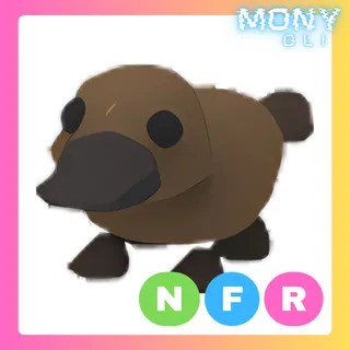 NFR PLATYPUS 