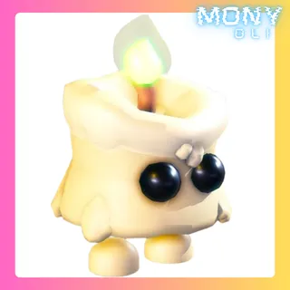 CUDDLY CANDLE
