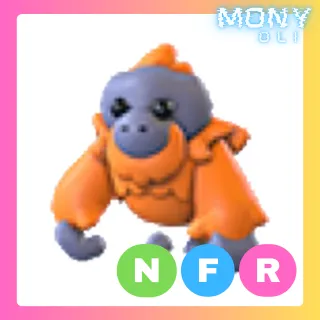 NFR ORANGUTAN