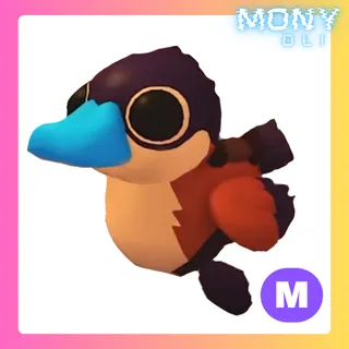 MEGA NEON RUDDY DUCK