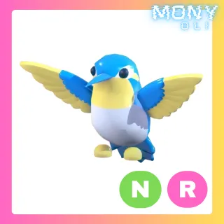 NR DIAMOND HUMMINGBIRD