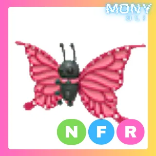 NFR 2021 UPLIFT BUTTERFLY 