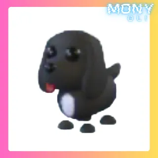 ROYAL PALACE SPANIEL 