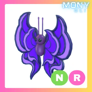 NR VIOLET BUTTERFLY