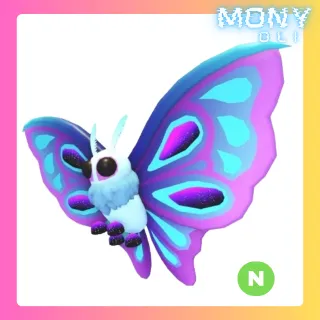 MOONLIGHT MOTH NEON