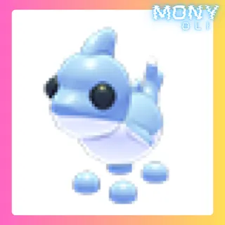 SHARK PUPPY