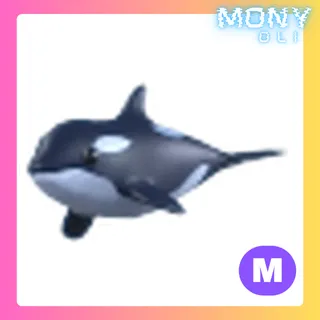MEGA NEON ORCA