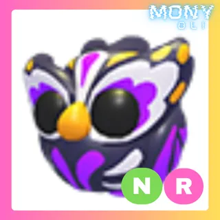 NR GRAVE OWL