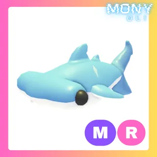 MR HAMMERHEAD SHARK