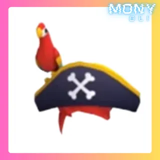 Pirate Hat & Friend