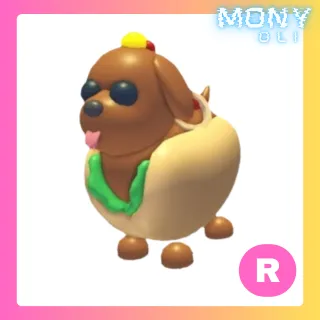 R HOT DOGGO 