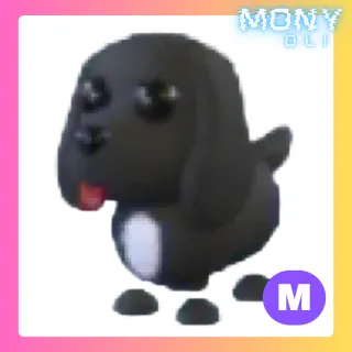 MEGA NEON ROYAL PALACE SPANIEL 