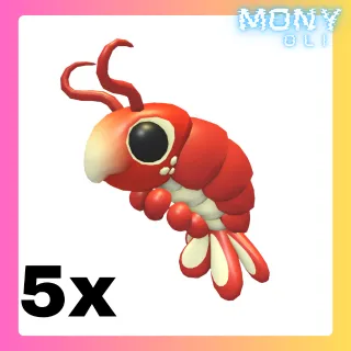 EMPEROR SHRIMP 5X