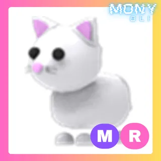 MR SNOW CAT