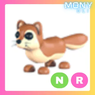 NR MONGOOSE