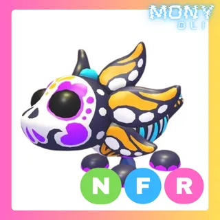 NFR SUGAR AXOLOTL 