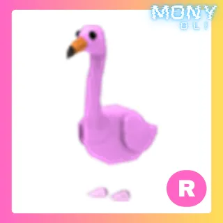 R FLAMINGO