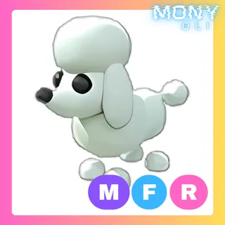 MFR POODLE 