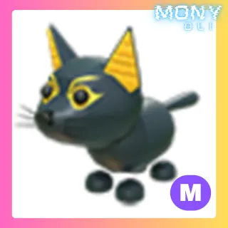 MEGA NEON ABYSSINIAN CAT 