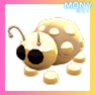 GOLDEN LADYBUG 