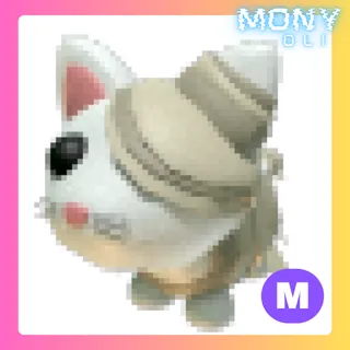 MEGA NEON HALLOWEEN WHITE MUMMY CAT