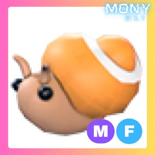 MF TRAPDOOR SNAIL 