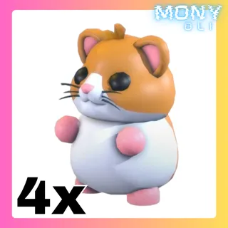4X HAMSTER 