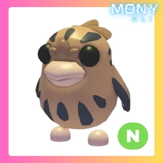 NEON Tawny Frogmouth