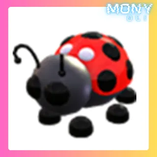 LADYBUG