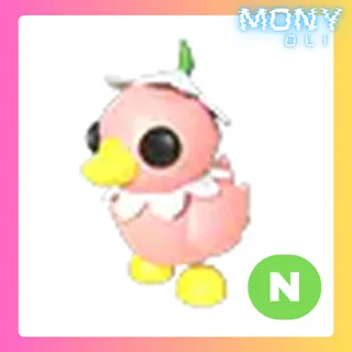 NEON FLOWER POWER DUCKLING 