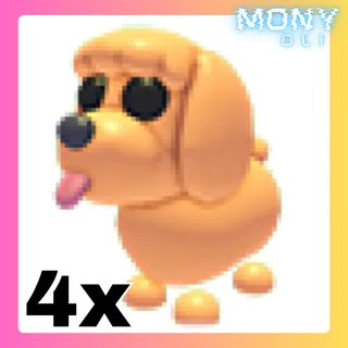 4X TOY POODLE 