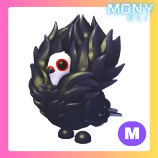 M JACOBIN PIGEON