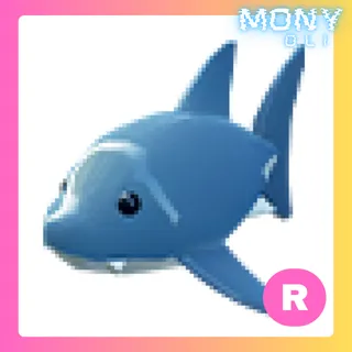 R SHARK